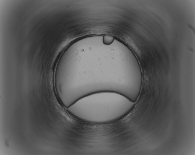 X0000093621035200710151036