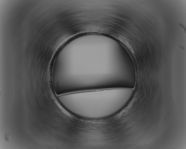 X0000093621037200710151036