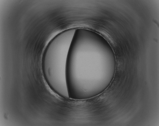 X0000093621038200710151036