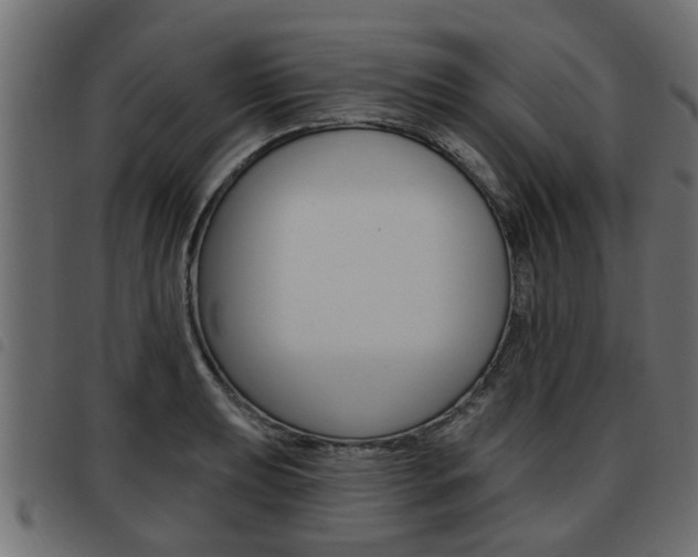 X0000093621039200710151036