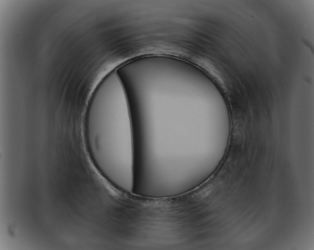 X0000093621040200710151036
