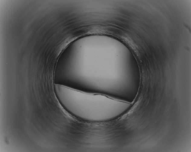 X0000093621041200710151036