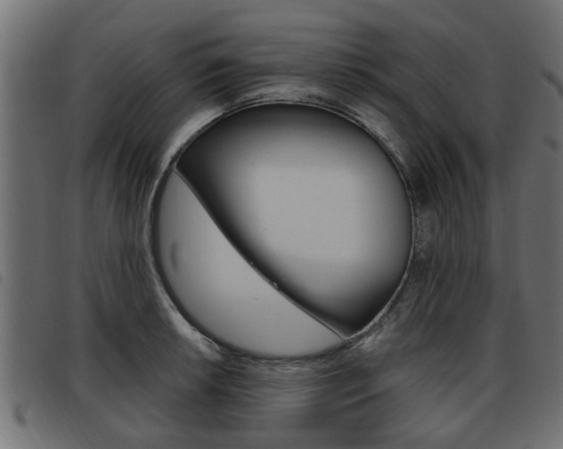 X0000093621042200710151036