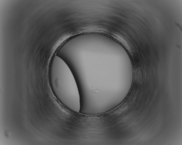 X0000093621043200710151036