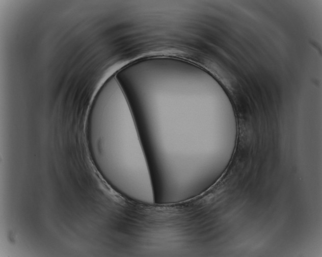 X0000093621044200710151036