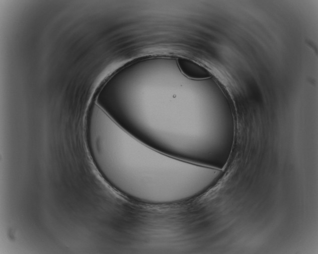 X0000093621045200710151036