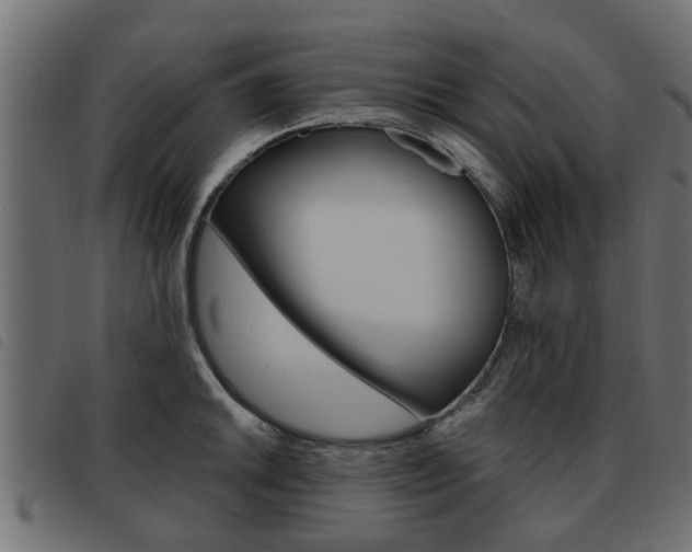 X0000093621046200710151036