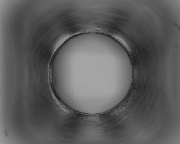 X0000093621047200710151036