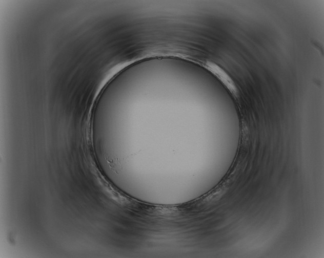 X0000093621052200710151037