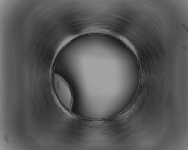 X0000093621053200710151037