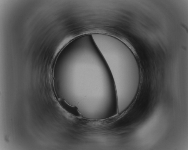 X0000093621054200710151037