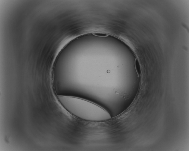X0000093621056200710151037