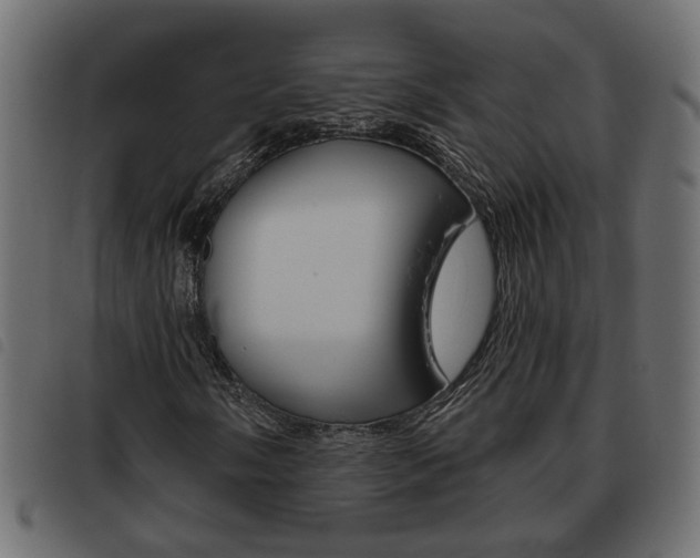 X0000093621058200710151036