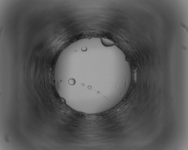 X0000093621059200710151036