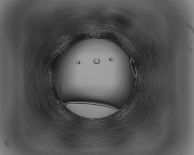 X0000093621060200710151036