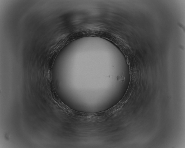 X0000093621061200710151036
