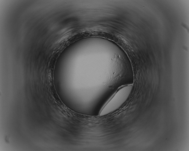 X0000093621062200710151036