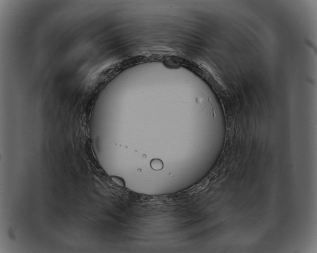X0000093621063200710151036