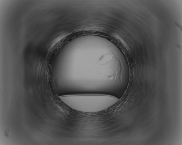 X0000093621064200710151036