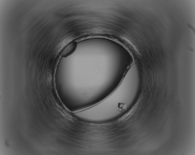 X0000093621065200710151036