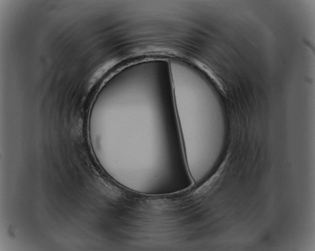 X0000093621066200710151036