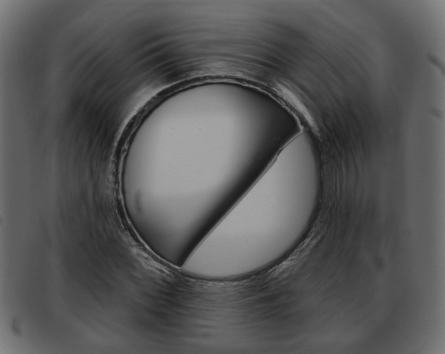 X0000093621068200710151036