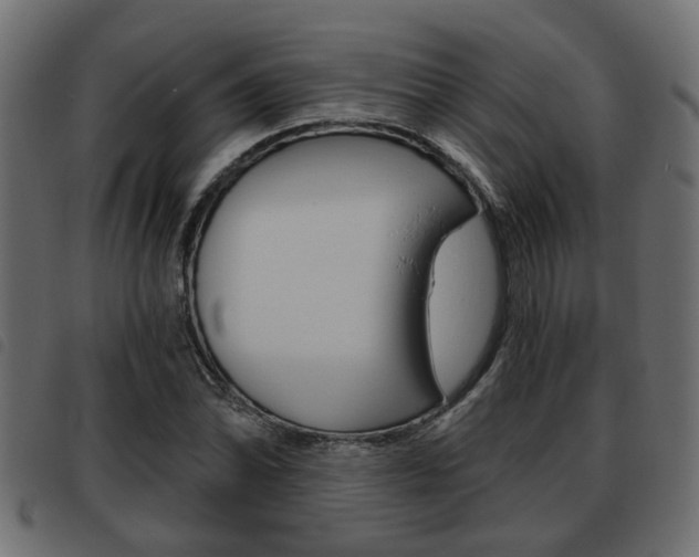 X0000093621070200710151036
