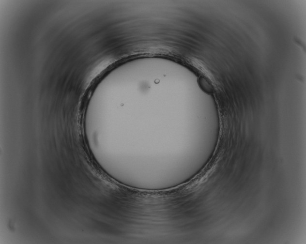 X0000093621071200710151036