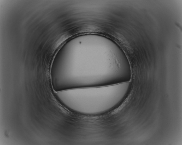 X0000093621073200710151036