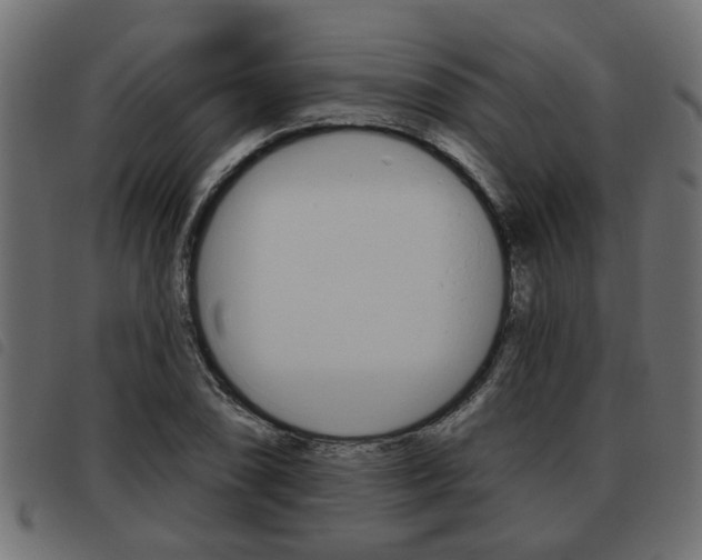 X0000093621074200710151036