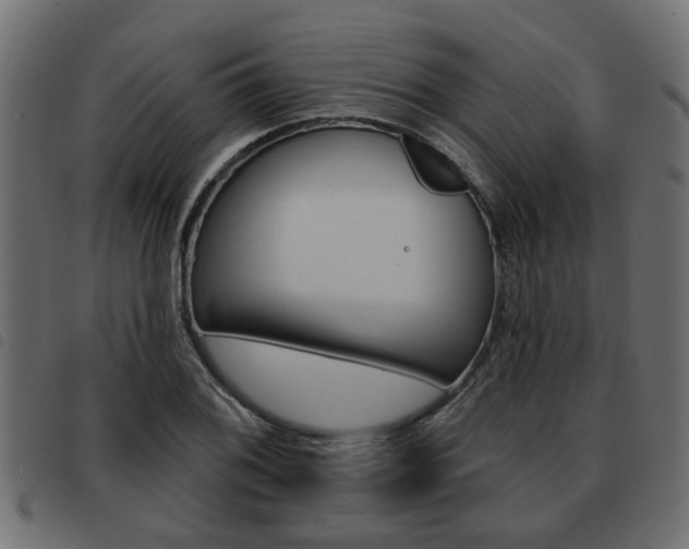 X0000093621076200710151036
