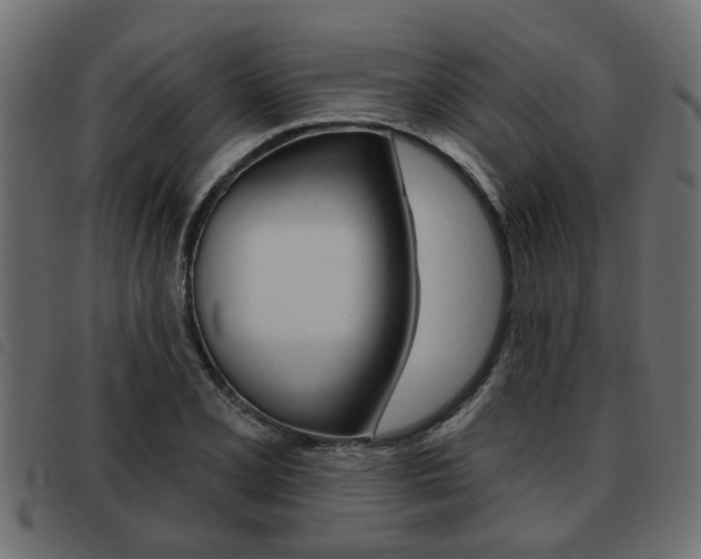 X0000093621077200710151036
