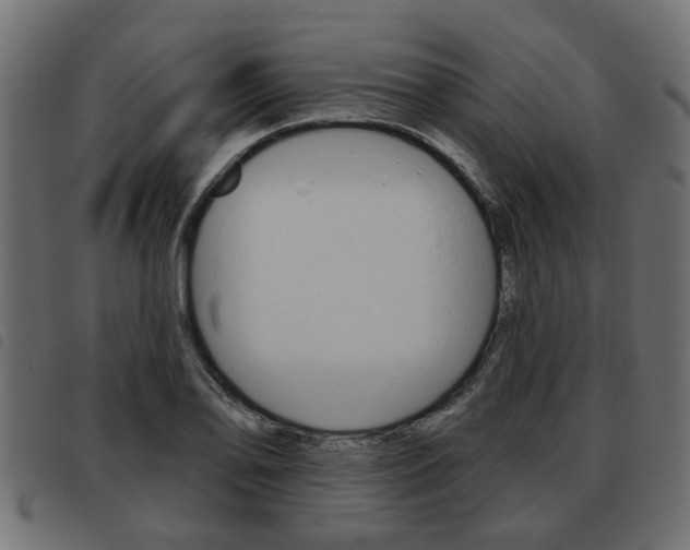 X0000093621078200710151036