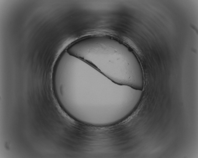 X0000093621079200710151036