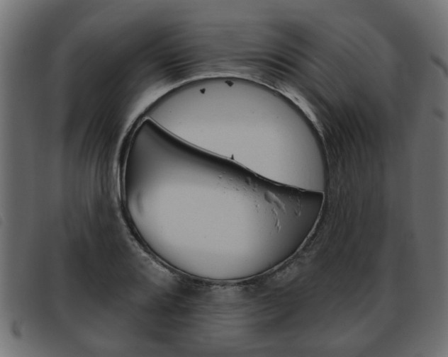 X0000093621080200710151036