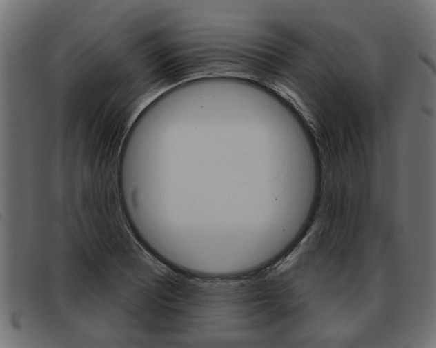 X0000093621081200710151036