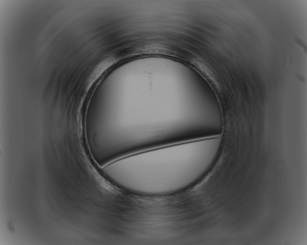 X0000093621082200710151036
