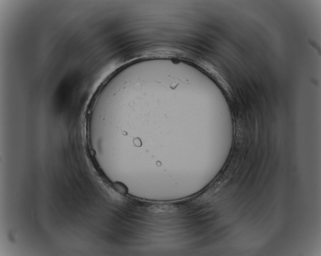 X0000093621083200710151036