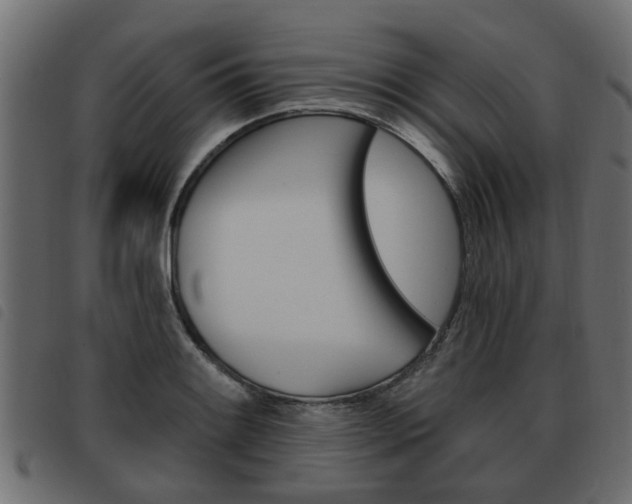 X0000093621084200710151036