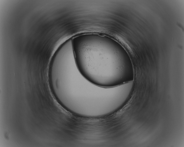 X0000093621085200710151036