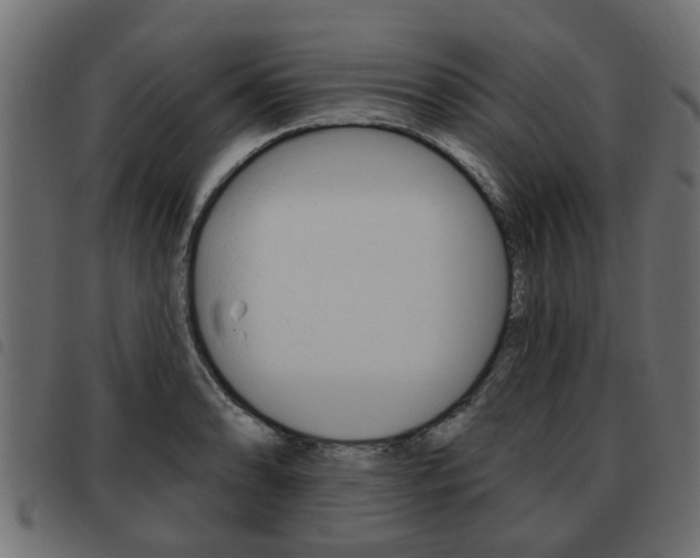 X0000093621086200710151036