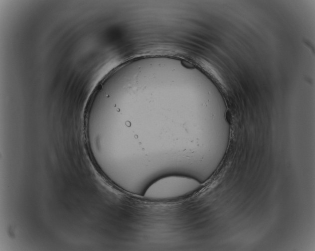 X0000093621087200710151036