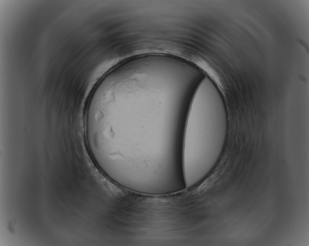 X0000093621088200710151036