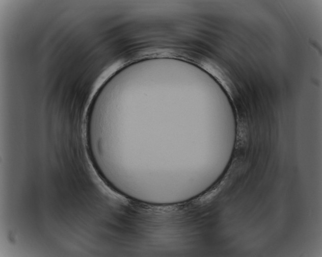 X0000093621090200710151036