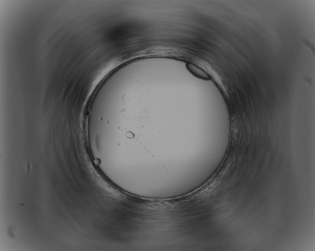 X0000093621091200710151036