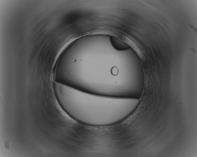 X0000093621092200710151036