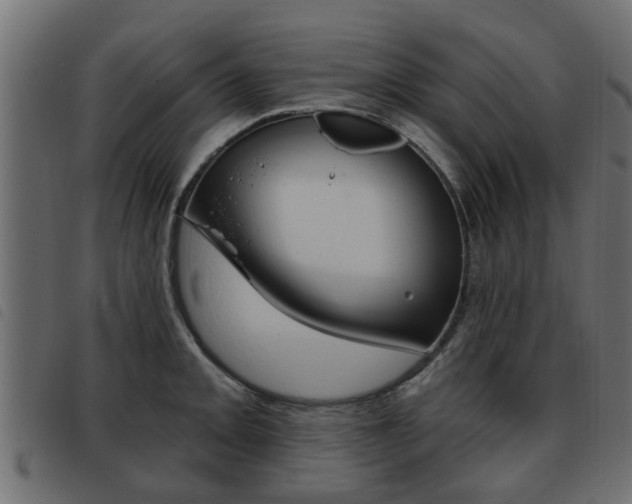 X0000093621093200710151036