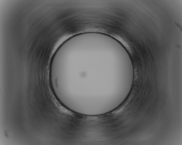 X0000093621094200710151036