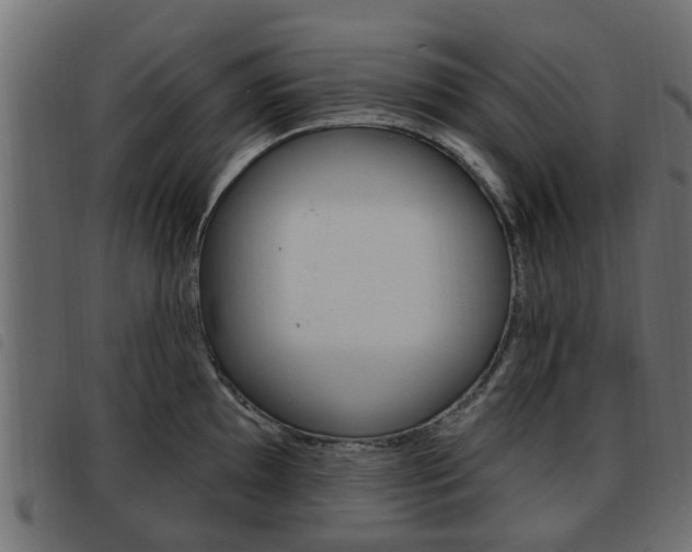 X0000093621097200710151036