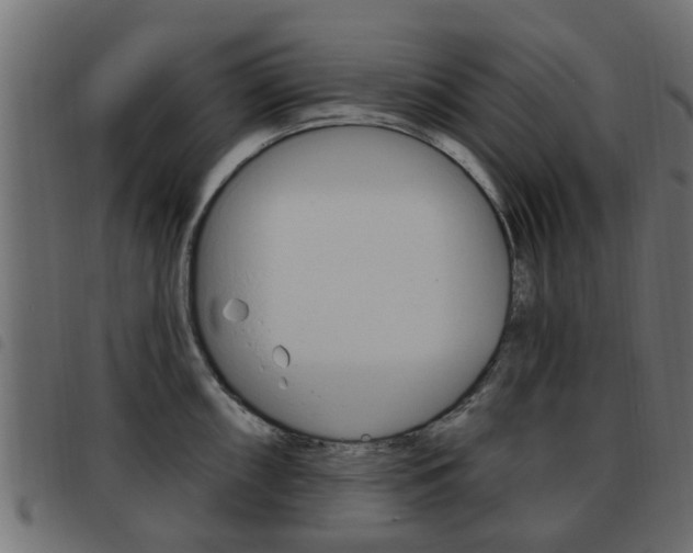 X0000093621098200710151036